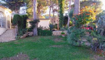 IMS-So2-Marquesa V-0182.jpg